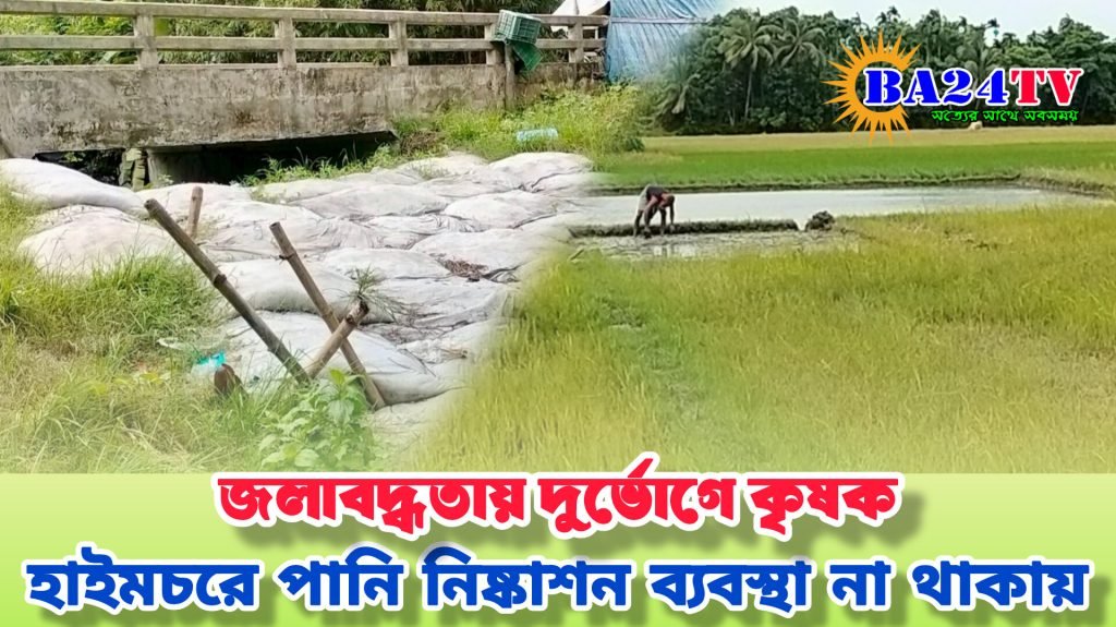 সুইসগেটের অভাবে হাইমচরে তলিয়ে যাচ্ছে কৃষিজমি: দুর্ভোগে কৃষক