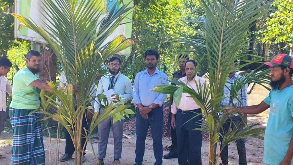 জলবায়ু পরিবর্তন মোকাবিলায় কাঁঠালিয়ায় পূবালী ব্যাংকের বৃক্ষরোপণ কর্মসূচি