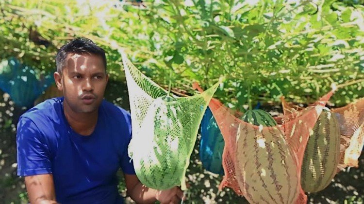 Paikgachha Upazila of Khulna