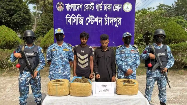 চাঁদপুরে ১২ কেজি গাঁজাসহ ২ মাদক কারবারি আটক