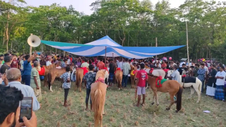 কাঠালিয়ায় গ্রাম বাংলার ঐতিহ্যবাহী ঘোড়দৌড় প্রতিযোগিতা অনুষ্ঠিত