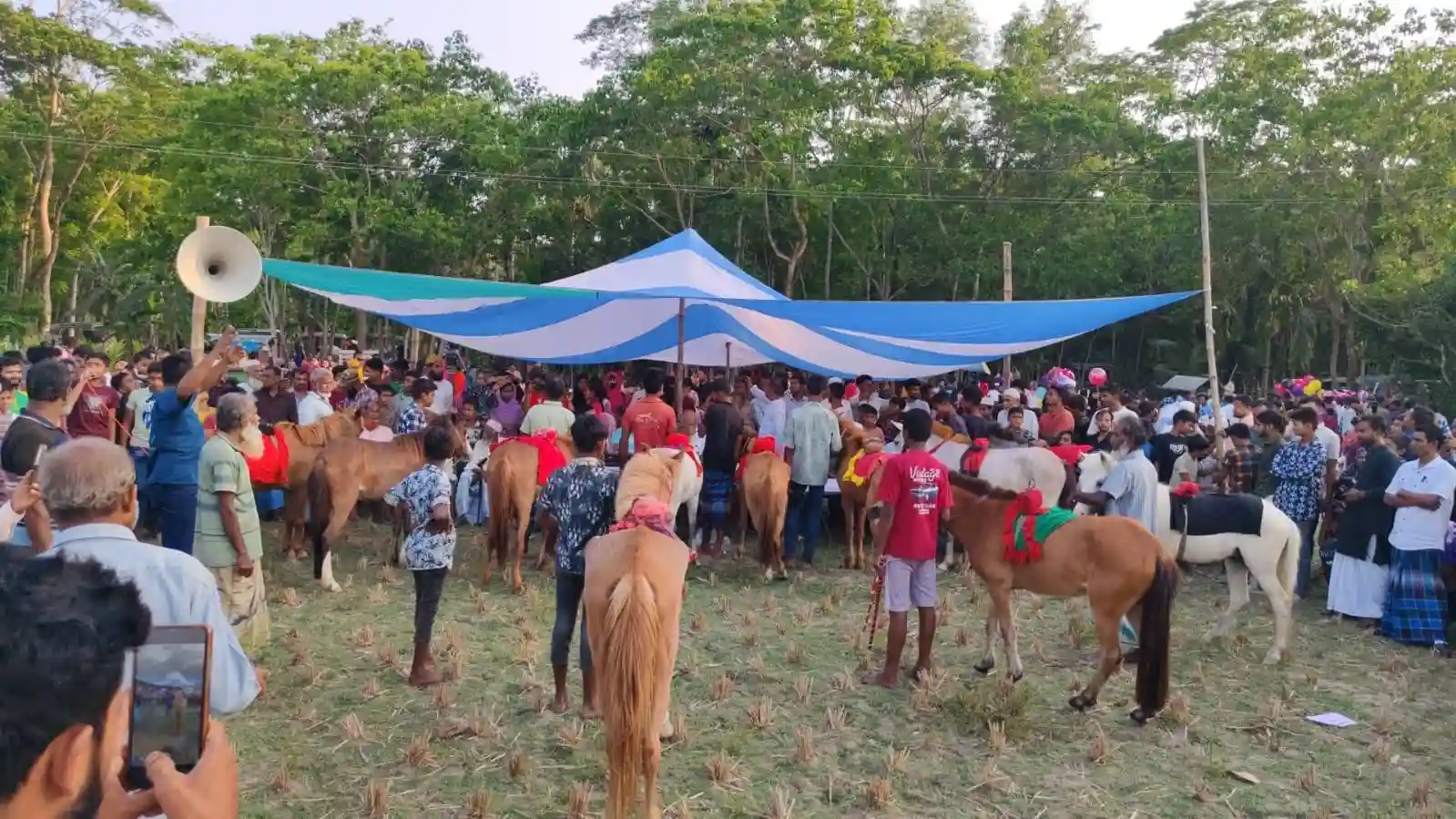 কাঠালিয়ায় গ্রাম বাংলার ঐতিহ্যবাহী ঘোড়দৌড় প্রতিযোগিতা অনুষ্ঠিত