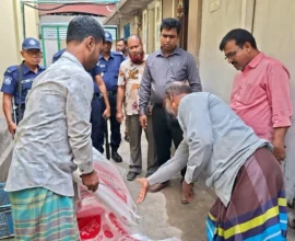 চাঁদপুরে চালের মিলে ভোক্তা অধিকারের অভিযানে ৫০ হাজার টাকা জরিমানা