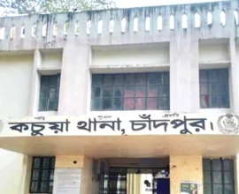 ​চাঁদপুরে ঘাস কাটতে গিয়ে বিদ্যুৎস্পৃষ্টে খামারির মৃত্যু