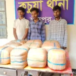 চাঁদপুরে ৫০ কেজি গাঁজাসহ ৩ মাদক ব্যবসায়ী গ্রেফতার