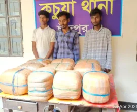 চাঁদপুরে ৫০ কেজি গাঁজাসহ ৩ মাদক ব্যবসায়ী গ্রেফতার