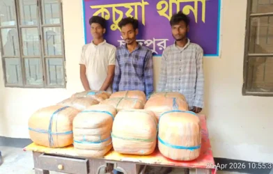 চাঁদপুরে ৫০ কেজি গাঁজাসহ ৩ মাদক ব্যবসায়ী গ্রেফতার