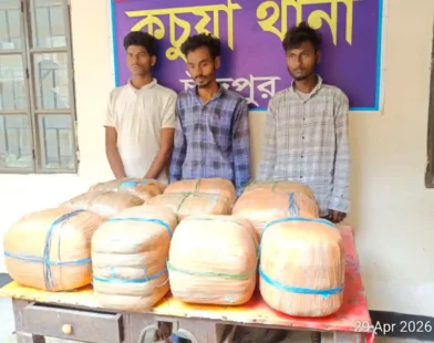 চাঁদপুরে ৫০ কেজি গাঁজাসহ ৩ মাদক ব্যবসায়ী গ্রেফতার