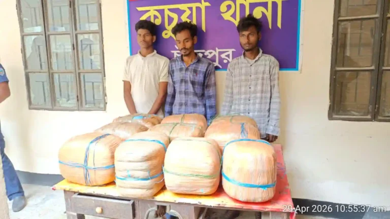 চাঁদপুরে ৫০ কেজি গাঁজাসহ ৩ মাদক ব্যবসায়ী গ্রেফতার