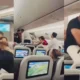 Panic ensues as two passengers brawl mid air on a Biman Bangladesh Airlines flight 80x80