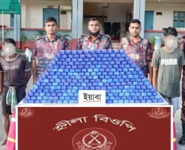 টেকনাফে ১৪ লাখ পিস ইয়াবা উদ্ধার, আটক ২