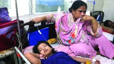 সারা দেশে বাড়ছে ডেঙ্গুর প্রকোপ হাসপাতালে উপচে পড়া ভিড়, চলতি বছরে আক্রান্ত ৫৯ হাজার ছাড়াল