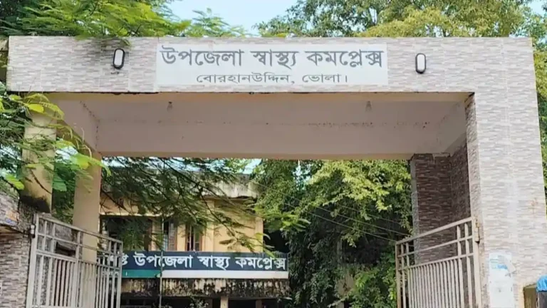 বাবাকে বাঁচাতে গিয়ে বিদ্যুৎস্পৃষ্টে দুই ভাইয়ের করুণ মৃত্যু